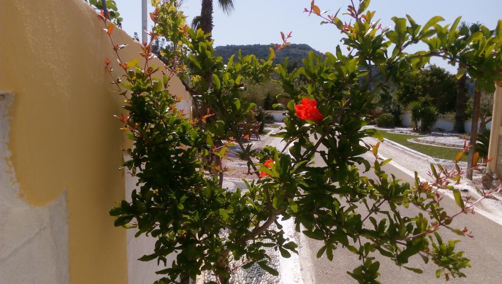 Appartement Mosaic Gardens à Faliraki Extérieur photo