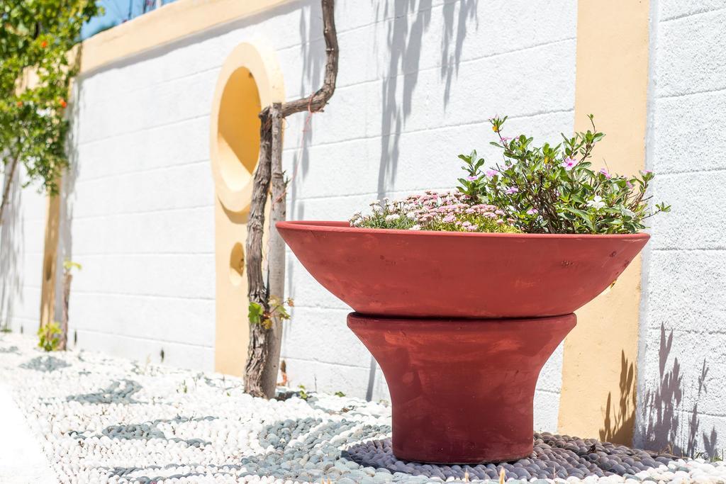 Appartement Mosaic Gardens à Faliraki Extérieur photo